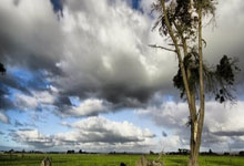 雷火电竞-湖人107：皇马3！这场元宇宙德比，暴露了足球的致命短板