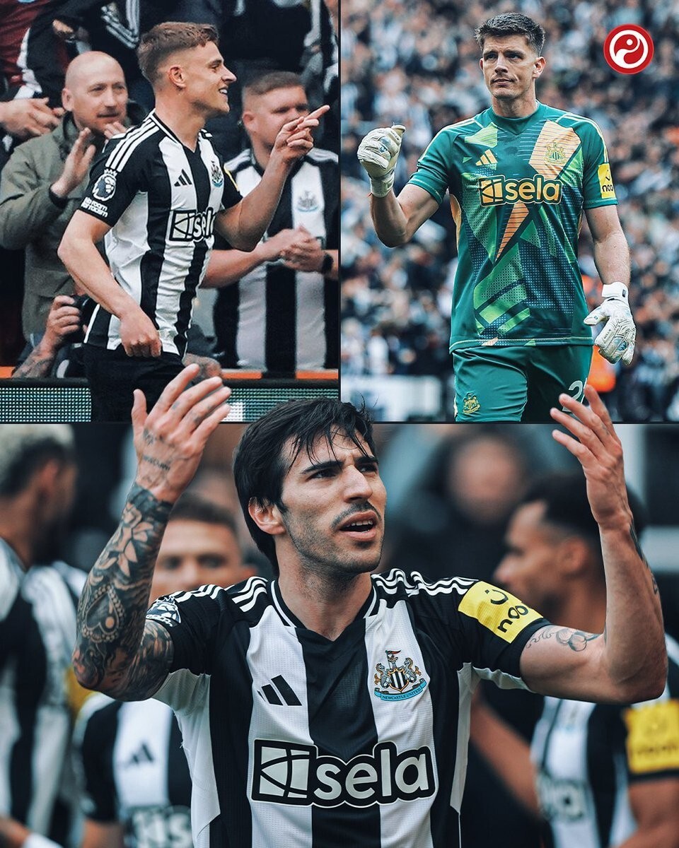 纽卡斯尔主场不敌曼城,保持不败战绩的简单介绍 纽卡斯尔主场不敌曼城,保持不败战绩的简单介绍