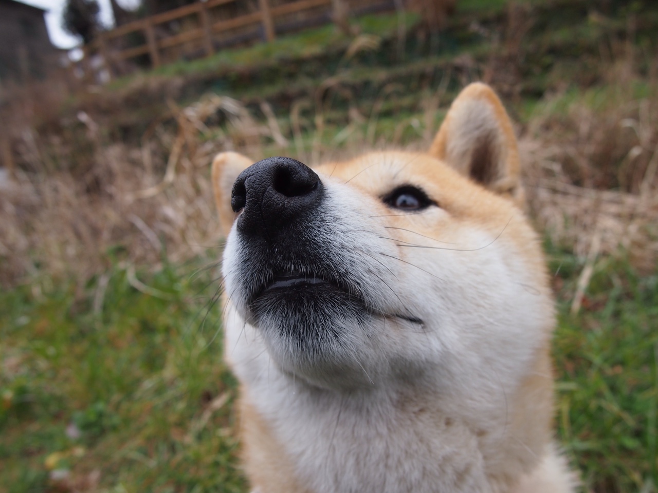 雷火电竞网站-跨界战神，斯通斯史诗一役，美国狂胜佛罗伦萨锁定奥运先机