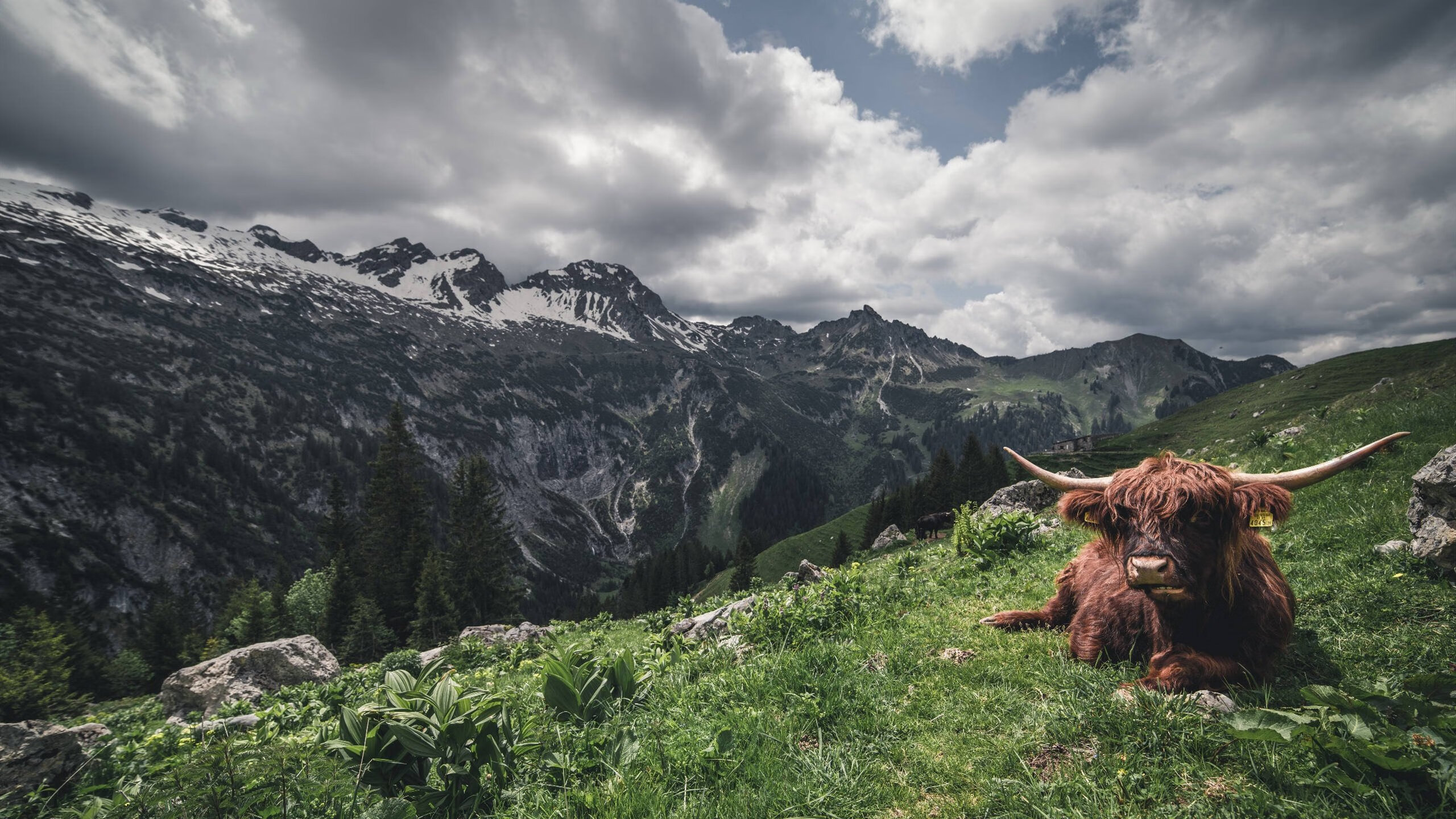 硬仗对决!勇士险胜76人,恩比德末节狂飙难挽败局