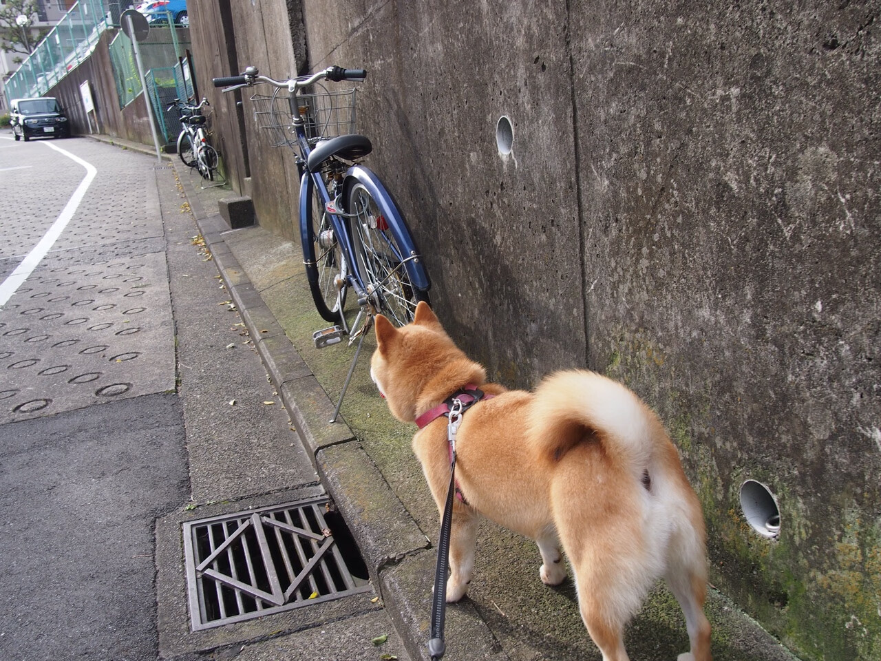 临时代打创奇迹,库里压哨三分助步行者绝杀黄蜂,一球定乾坤