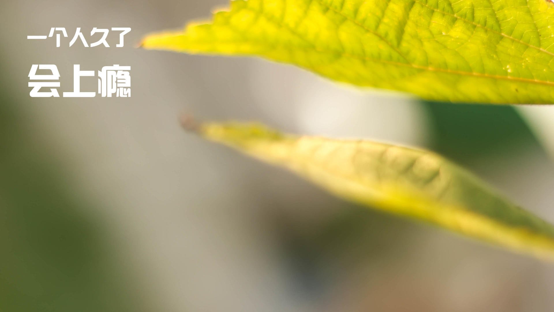 雷火电竞亚洲先驱-当火箭提前升空，悬念终结者的诞生