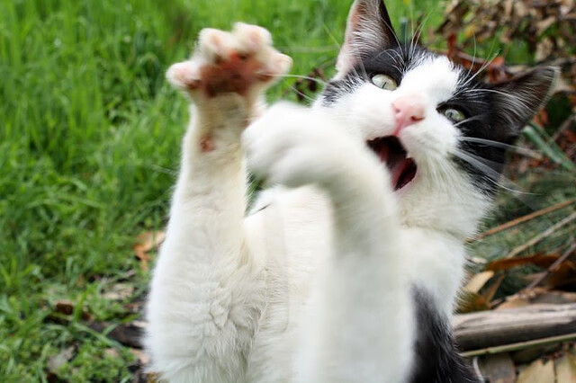 哈登美加墨世界杯接管比赛后回归，篮网硬仗取胜热火展领袖风范