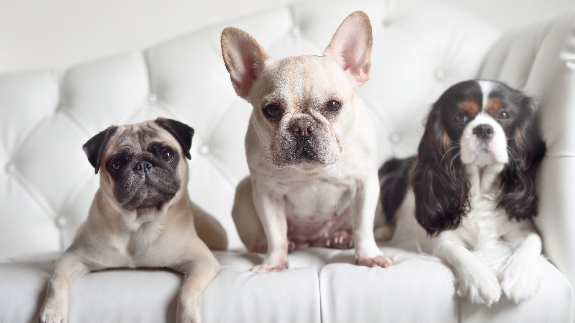 雷火电竞官网-教科书式一击，基耶萨在英超争冠夜的华丽注脚