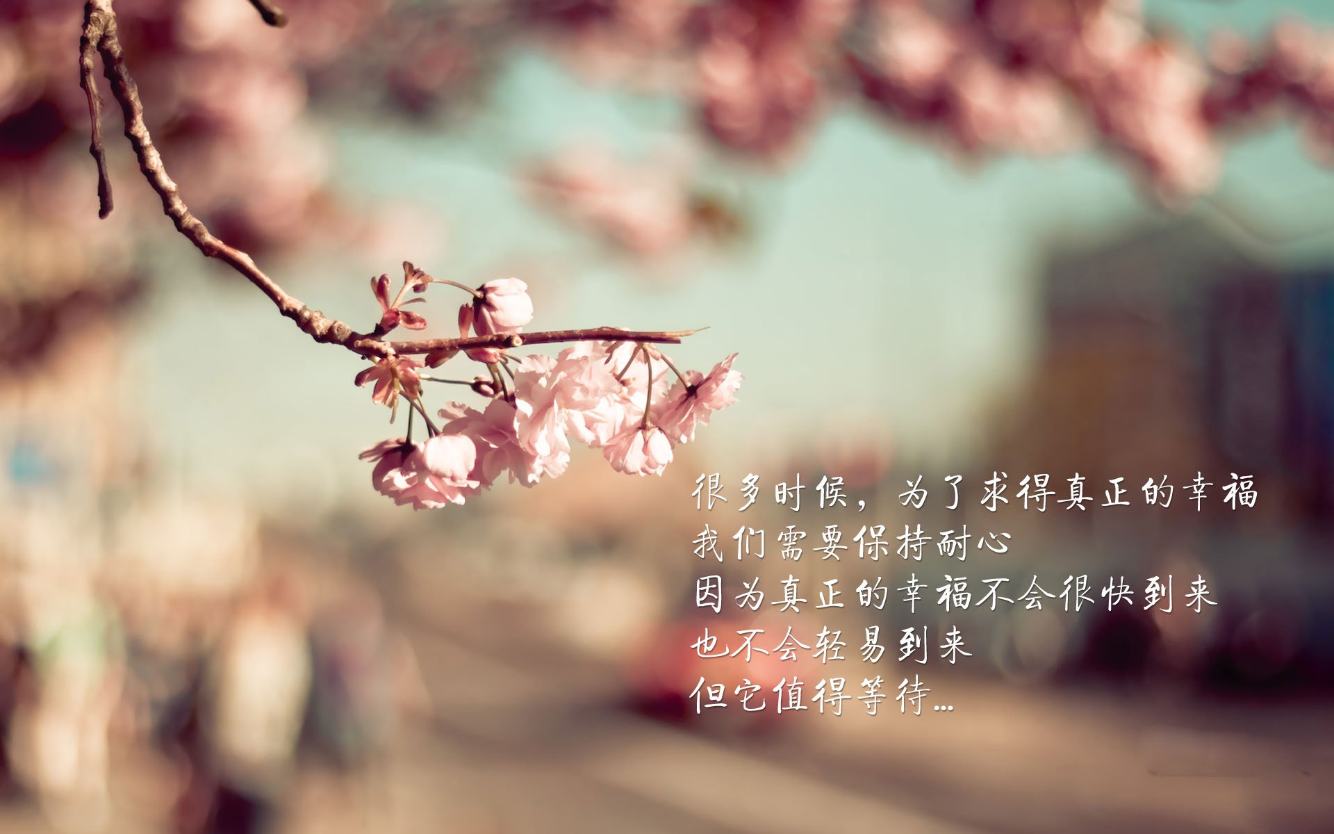 雷火电竞合作-欧冠决赛之夜，吉林队用钢铁防线压制上海队—一场跨时空的战术交响